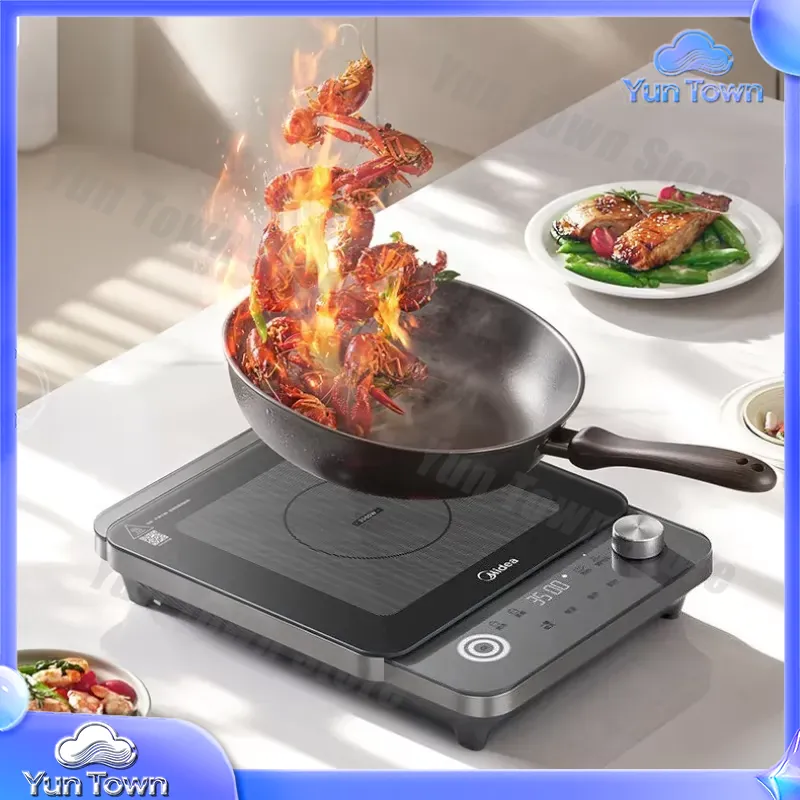 Fornello a Induzione per Uso D - Induction Cooktop Portable recensione e prezzo