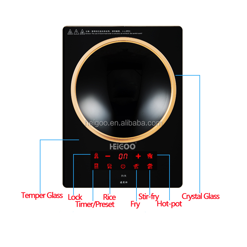 Fornello a induzione elettrico - Induction Cooktop Portable recensione e prezzo