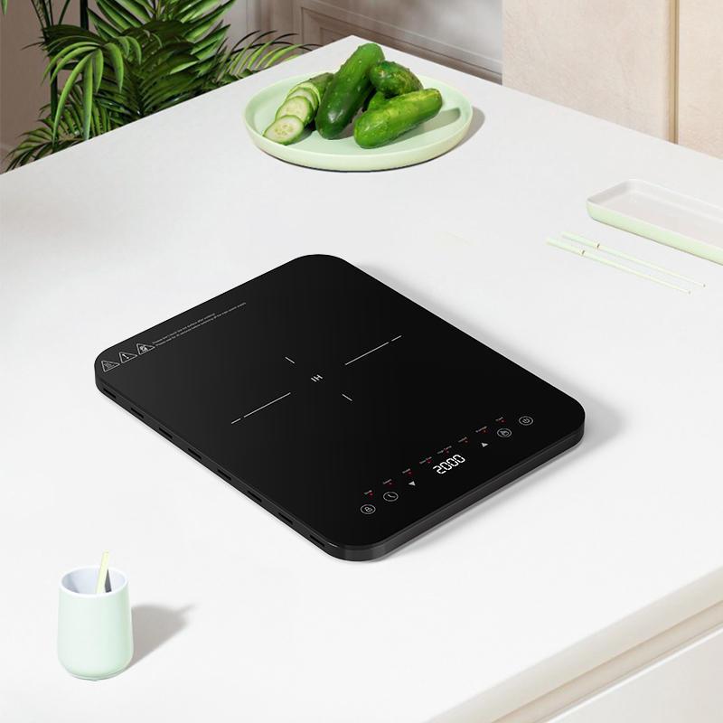 Zone di cottura a induzione co - Induction Cooktop Portable recensione e prezzo